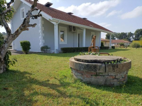 Maison de vacances 12 pers à St Geours de Maremne